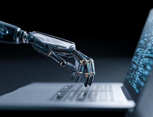 Paid Media & Advertising